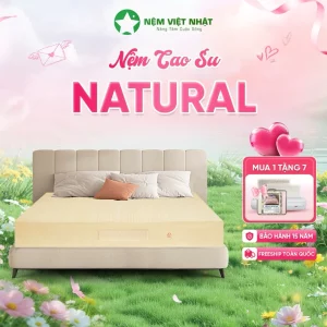 Nệm Cao Su Thiên Nhiên Việt Nhật Natural – Thế Hệ Mới Nâng Đỡ Hoàn Hảo, Xoa Dịu Mọi Cơn Nhức Mỏi